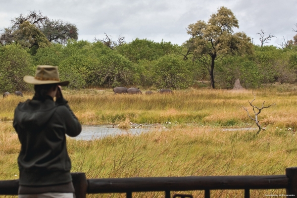 Hotel Belmond Safaris (Maun)